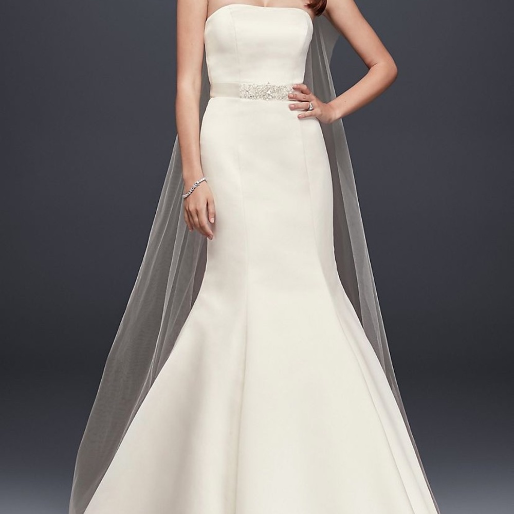 Davids Bridal Wedding Gown